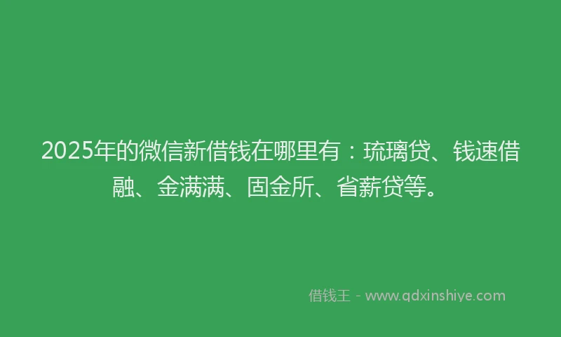 2025年的微信新借钱在哪里有：琉璃贷、钱速借融、金满满、固金所、省薪贷等。