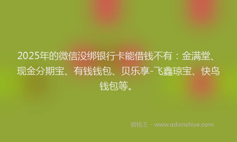 2025年的微信没绑银行卡能借钱不有：金满堂、现金分期宝、有钱钱包、贝乐享-飞鑫琼宝、快鸟钱包等。