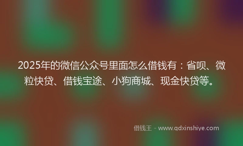 2025年的微信公众号里面怎么借钱有：省呗、微粒快贷、借钱宝途、小狗商城、现金快贷等。