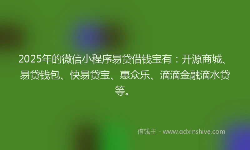 2025年的微信小程序易贷借钱宝有：开源商城、易贷钱包、快易贷宝、惠众乐、滴滴金融滴水贷等。