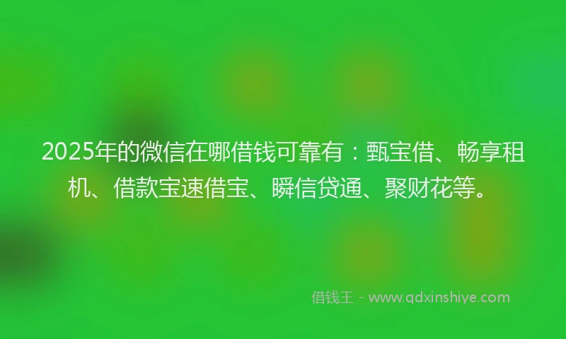 2025年的微信在哪借钱可靠有：甄宝借、畅享租机、借款宝速借宝、瞬信贷通、聚财花等。