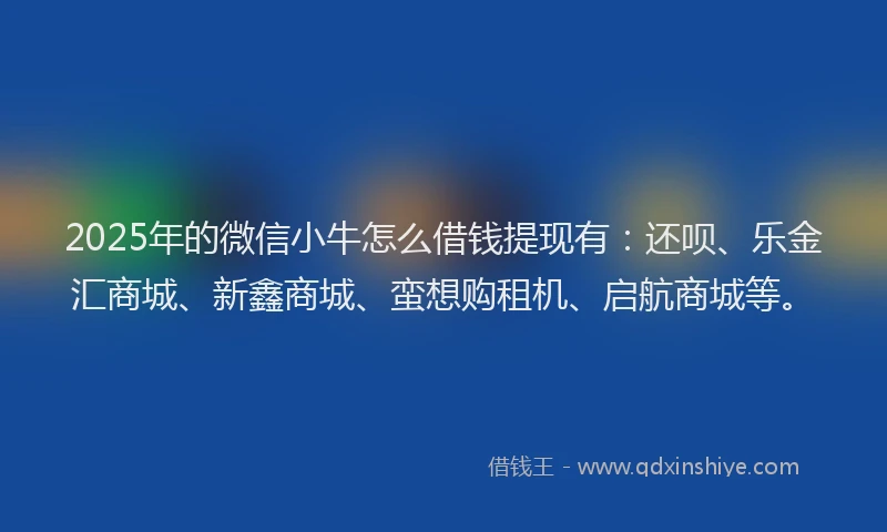 2025年的微信小牛怎么借钱提现有：还呗、乐金汇商城、新鑫商城、蛮想购租机、启航商城等。