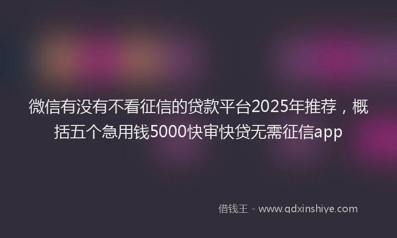 微信有没有不看征信的贷款平台2025年推荐，概括五个急用钱5000快审快贷无需征信app