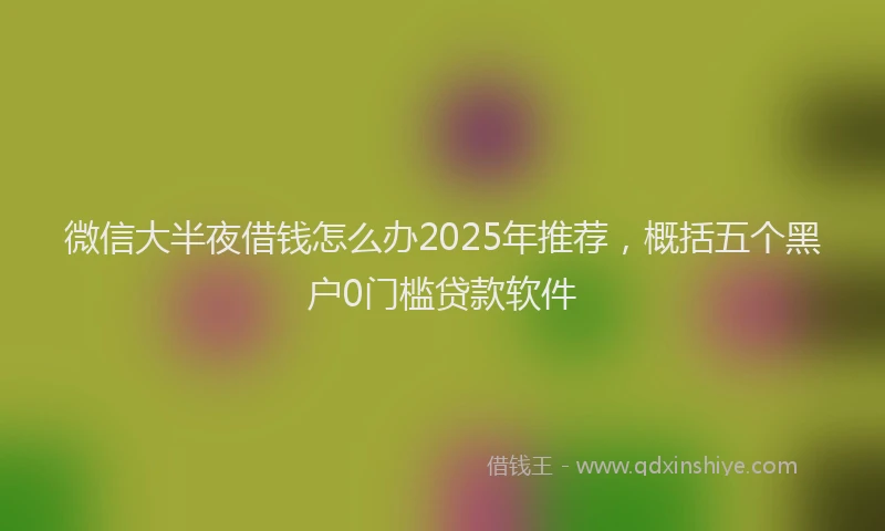 微信大半夜借钱怎么办2025年推荐，概括五个黑户0门槛贷款软件