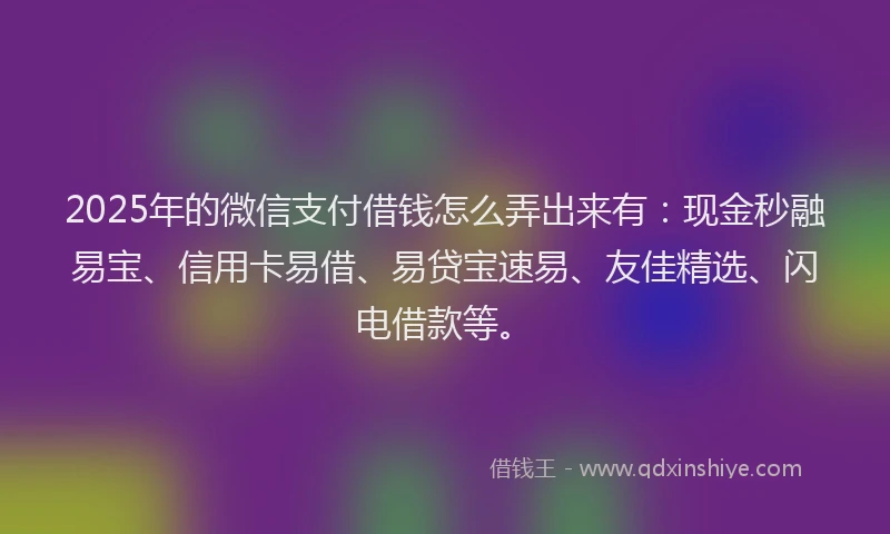 2025年的微信支付借钱怎么弄出来有：现金秒融易宝、信用卡易借、易贷宝速易、友佳精选、闪电借款等。