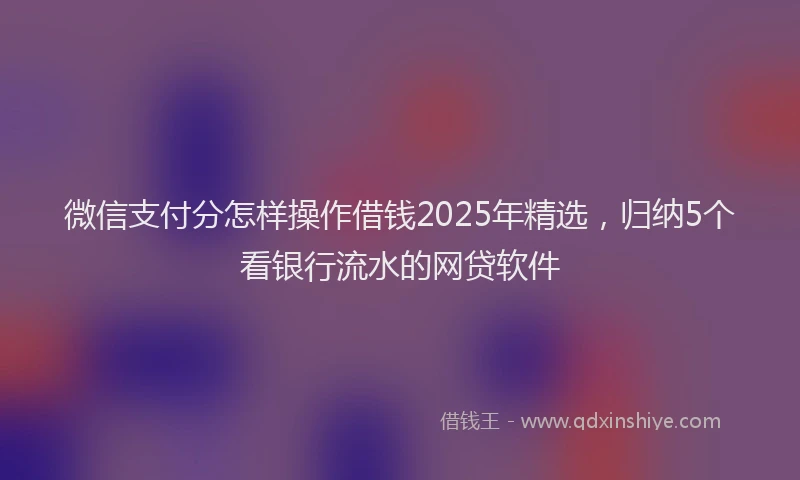 微信支付分怎样操作借钱2025年精选，归纳5个看银行流水的网贷软件