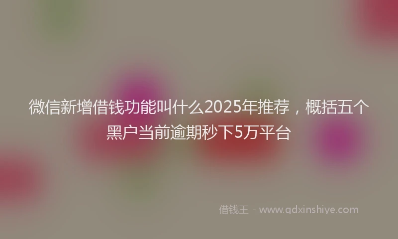 微信新增借钱功能叫什么2025年推荐，概括五个黑户当前逾期秒下5万平台