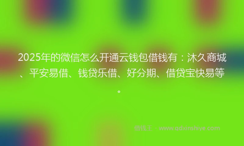 2025年的微信怎么开通云钱包借钱有：沐久商城、平安易借、钱贷乐借、好分期、借贷宝快易等。