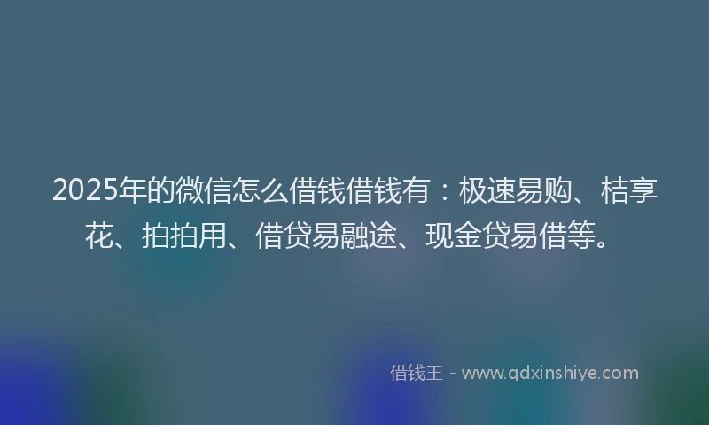 2025年的微信怎么借钱借钱有：极速易购、桔享花、拍拍用、借贷易融途、现金贷易借等。