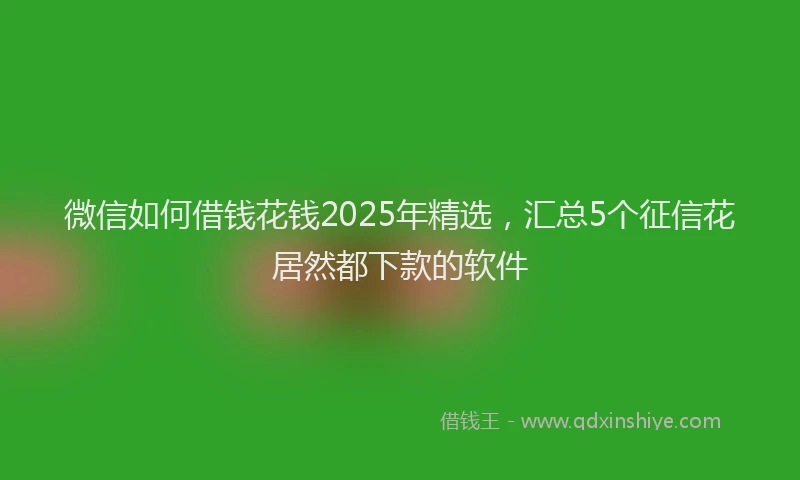 微信如何借钱花钱2025年精选，汇总5个征信花居然都下款的软件