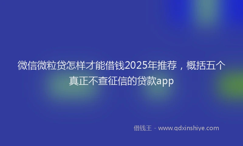 微信微粒贷怎样才能借钱2025年推荐，概括五个真正不查征信的贷款app