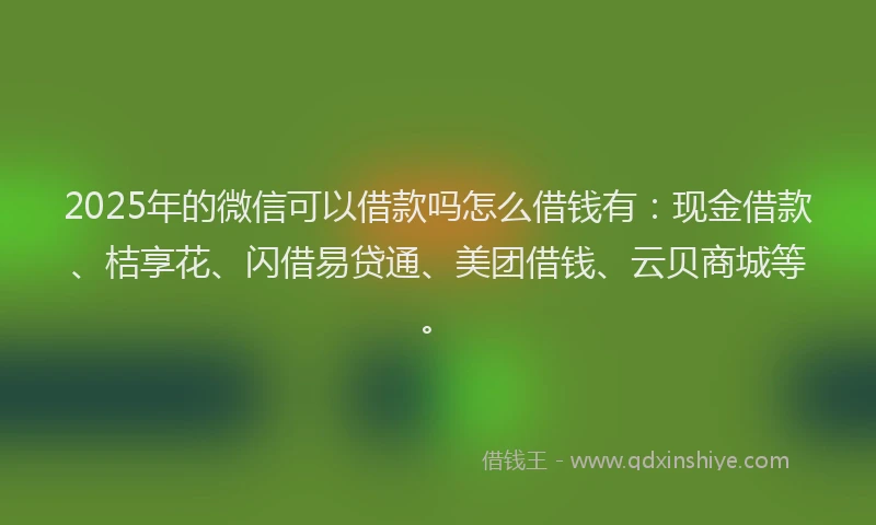 2025年的微信可以借款吗怎么借钱有：现金借款、桔享花、闪借易贷通、美团借钱、云贝商城等。