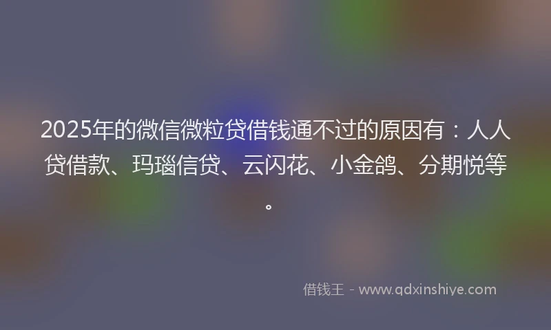 2025年的微信微粒贷借钱通不过的原因有：人人贷借款、玛瑙信贷、云闪花、小金鸽、分期悦等。