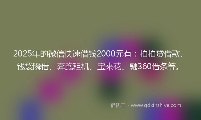 2025年的微信快速借钱2000元有：拍拍贷借款、钱袋瞬借、奔跑租机、宝来花、融360借条等。