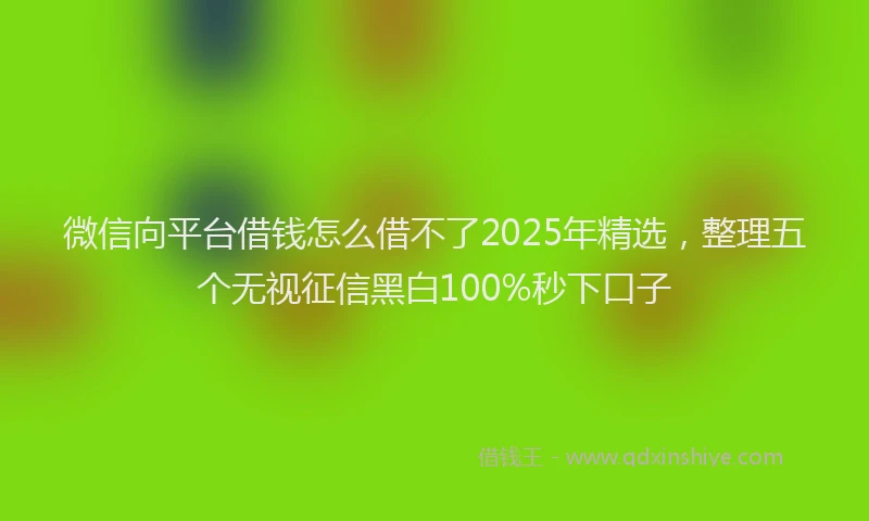 微信向平台借钱怎么借不了2025年精选，整理五个无视征信黑白100%秒下口子