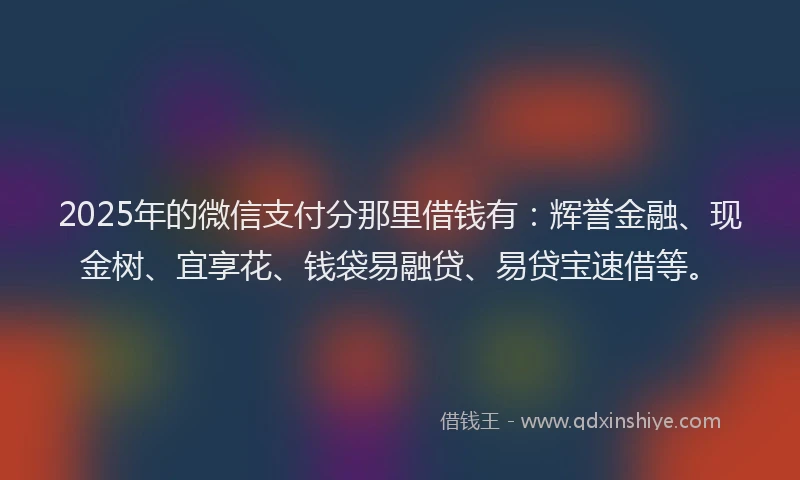 2025年的微信支付分那里借钱有：辉誉金融、现金树、宜享花、钱袋易融贷、易贷宝速借等。