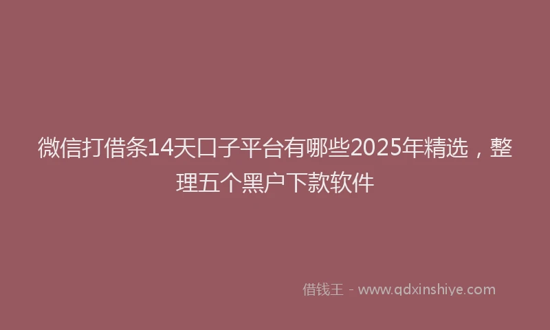 微信打借条14天口子平台有哪些2025年精选，整理五个黑户下款软件