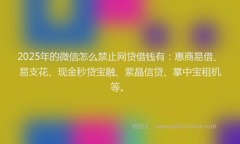 2025年的微信怎么禁止网贷借钱有：惠商易借、易支花、现金秒贷宝融、紫晶信贷、掌中宝租机等。