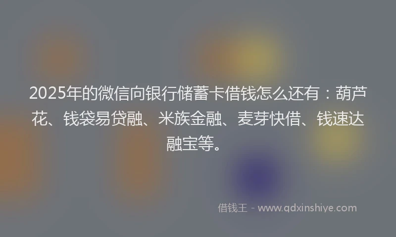 2025年的微信向银行储蓄卡借钱怎么还有：葫芦花、钱袋易贷融、米族金融、麦芽快借、钱速达融宝等。