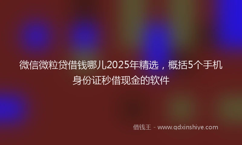 微信微粒贷借钱哪儿2025年精选，概括5个手机身份证秒借现金的软件