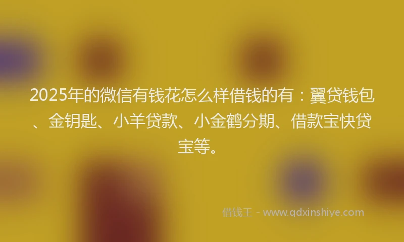 2025年的微信有钱花怎么样借钱的有：翼贷钱包、金钥匙、小羊贷款、小金鹤分期、借款宝快贷宝等。