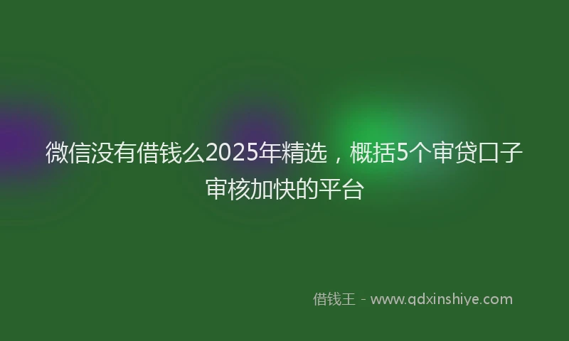 微信没有借钱么2025年精选，概括5个审贷口子审核加快的平台