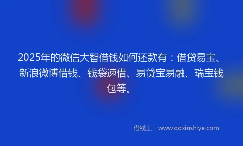 2025年的微信大智借钱如何还款有：借贷易宝、新浪微博借钱、钱袋速借、易贷宝易融、瑞宝钱包等。