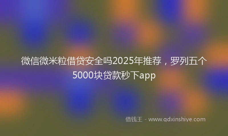 微信微米粒借贷安全吗2025年推荐，罗列五个5000块贷款秒下app
