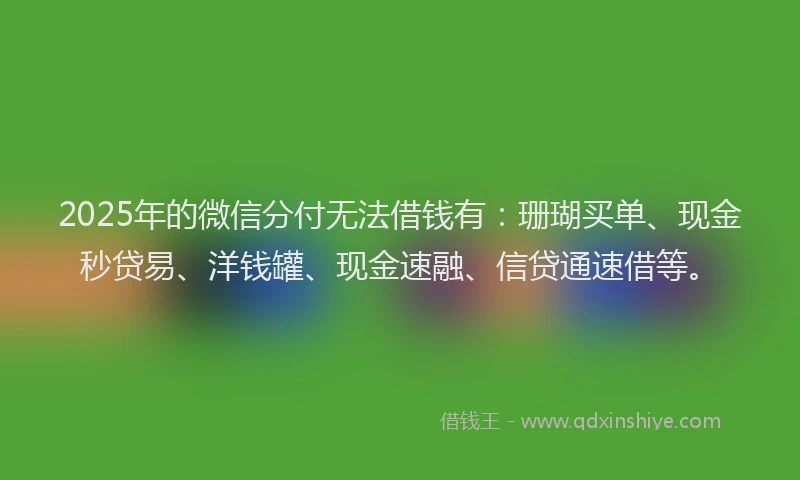 2025年的微信分付无法借钱有：珊瑚买单、现金秒贷易、洋钱罐、现金速融、信贷通速借等。