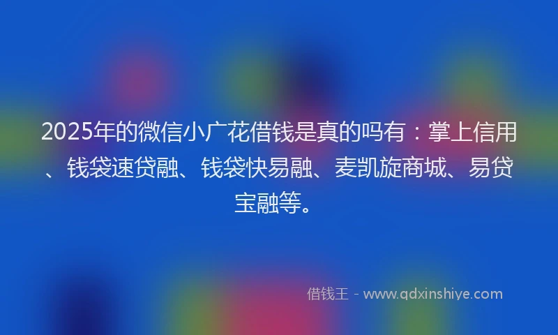 2025年的微信小广花借钱是真的吗有：掌上信用、钱袋速贷融、钱袋快易融、麦凯旋商城、易贷宝融等。