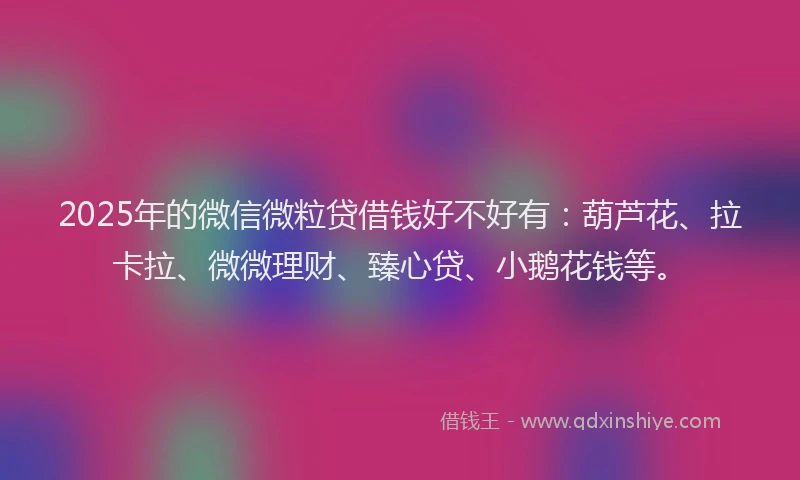 2025年的微信微粒贷借钱好不好有：葫芦花、拉卡拉、微微理财、臻心贷、小鹅花钱等。