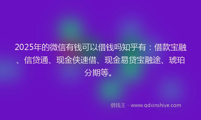 2025年的微信有钱可以借钱吗知乎有：借款宝融、信贷通、现金侠速借、现金易贷宝融途、琥珀分期等。