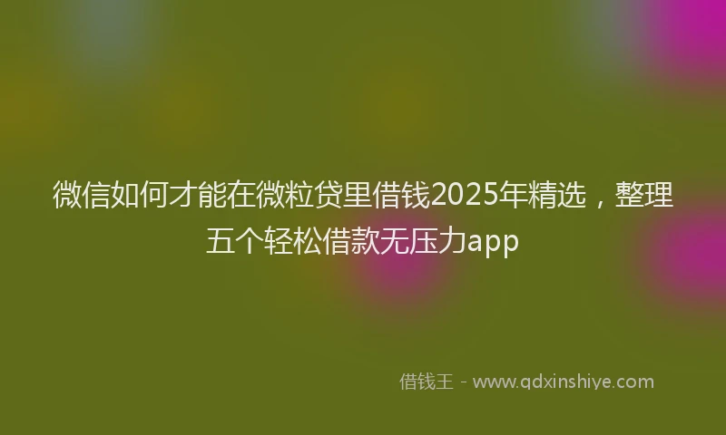 微信如何才能在微粒贷里借钱2025年精选，整理五个轻松借款无压力app