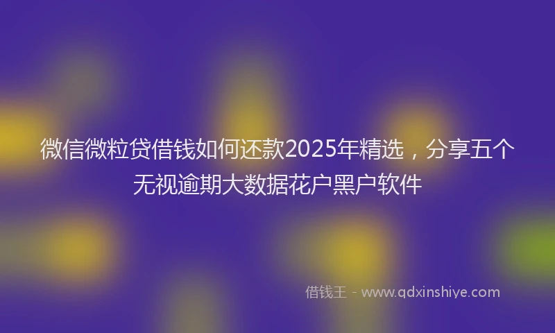 微信微粒贷借钱如何还款2025年精选，分享五个无视逾期大数据花户黑户软件