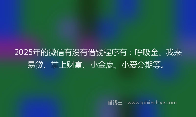 2025年的微信有没有借钱程序有：呼吸金、我来易贷、掌上财富、小金鹿、小爱分期等。