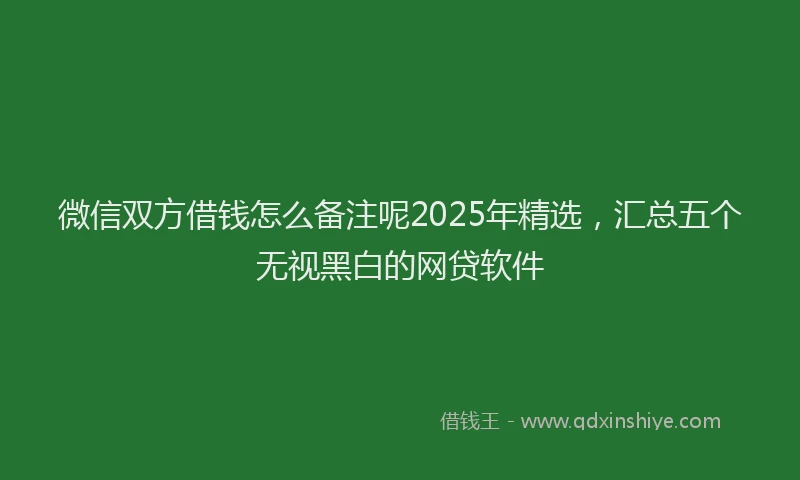 微信双方借钱怎么备注呢2025年精选，汇总五个无视黑白的网贷软件