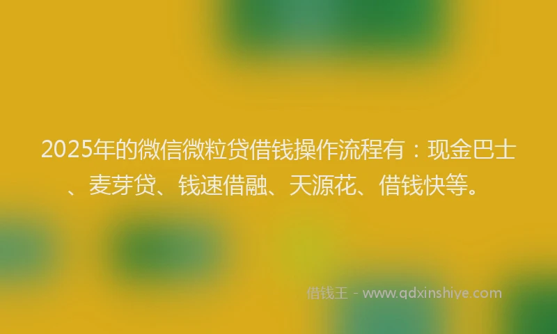 2025年的微信微粒贷借钱操作流程有：现金巴士、麦芽贷、钱速借融、天源花、借钱快等。