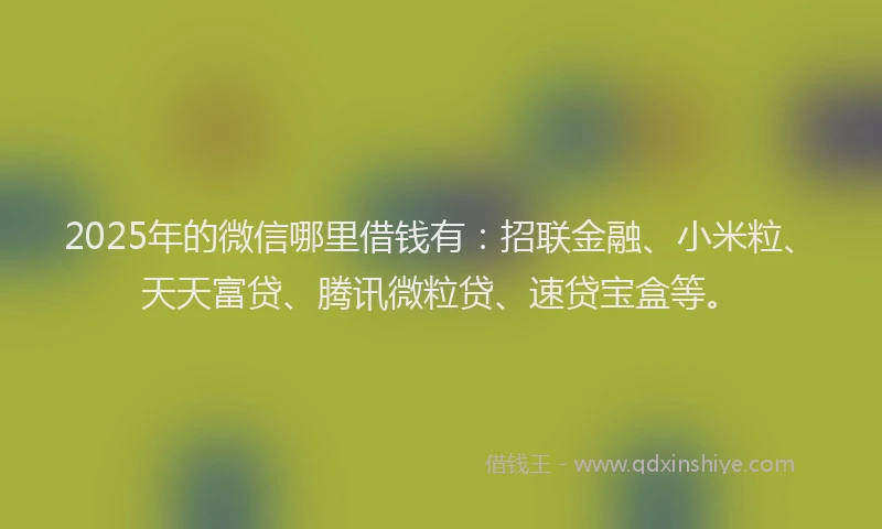 2025年的微信哪里借钱有：招联金融、小米粒、天天富贷、腾讯微粒贷、速贷宝盒等。