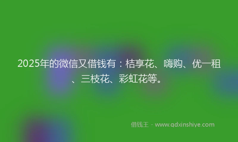 2025年的微信又借钱有：桔享花、嗨购、优一租、三枝花、彩虹花等。
