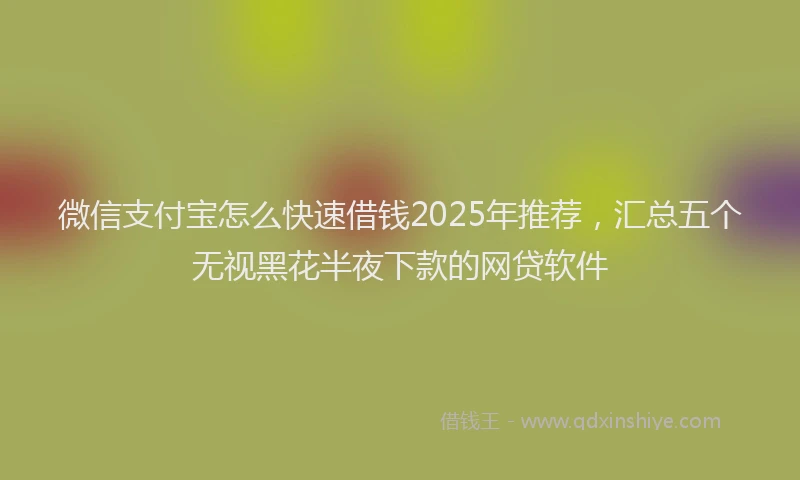 微信支付宝怎么快速借钱2025年推荐，汇总五个无视黑花半夜下款的网贷软件