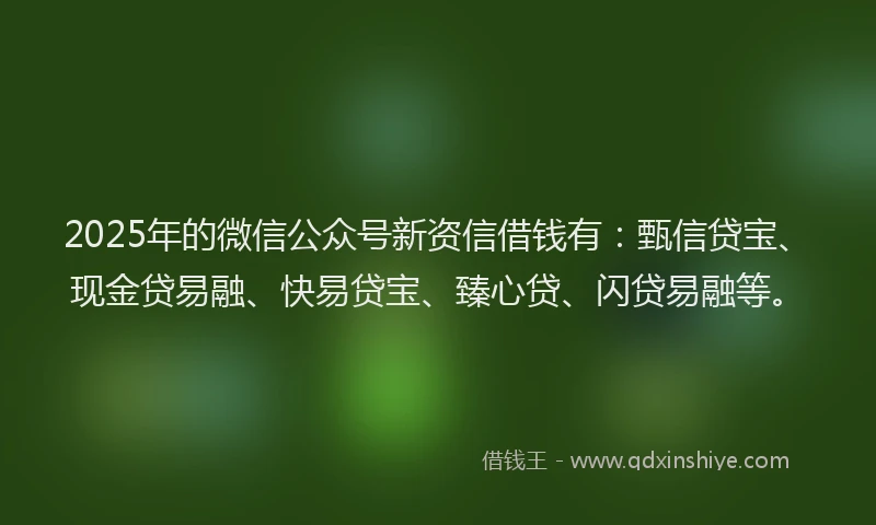 2025年的微信公众号新资信借钱有：甄信贷宝、现金贷易融、快易贷宝、臻心贷、闪贷易融等。