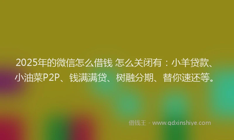 2025年的微信怎么借钱 怎么关闭有：小羊贷款、小油菜P2P、钱满满贷、树融分期、替你速还等。