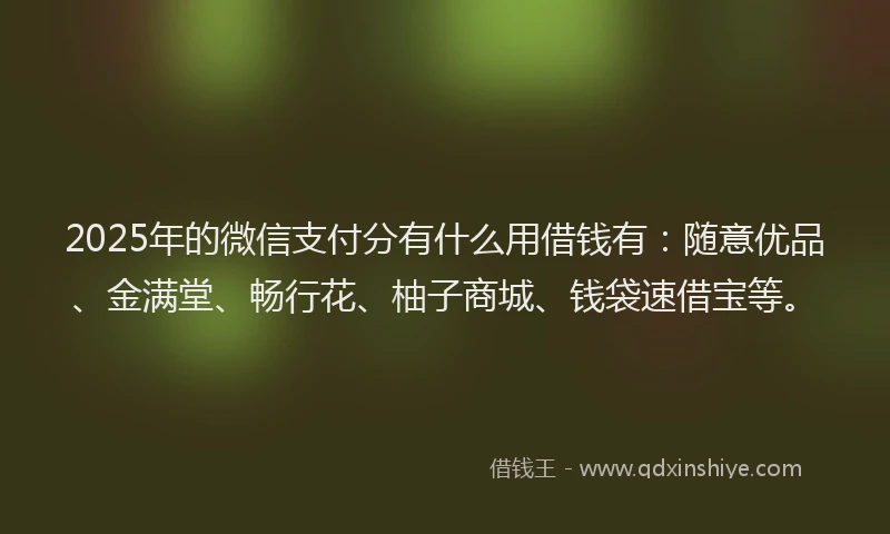 2025年的微信支付分有什么用借钱有：随意优品、金满堂、畅行花、柚子商城、钱袋速借宝等。
