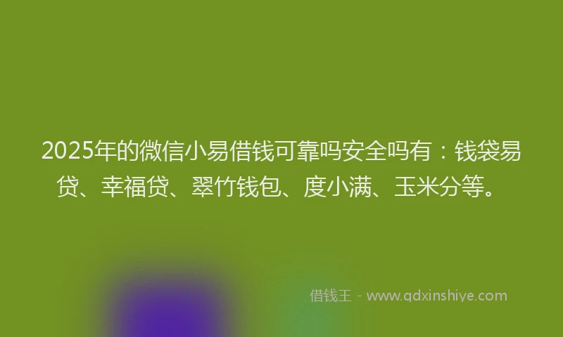 2025年的微信小易借钱可靠吗安全吗有：钱袋易贷、幸福贷、翠竹钱包、度小满、玉米分等。