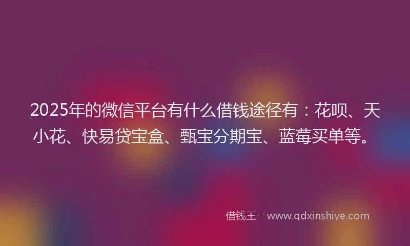 2025年的微信平台有什么借钱途径有：花呗、天小花、快易贷宝盒、甄宝分期宝、蓝莓买单等。