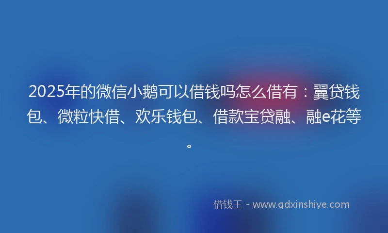 2025年的微信小鹅可以借钱吗怎么借有：翼贷钱包、微粒快借、欢乐钱包、借款宝贷融、融e花等。