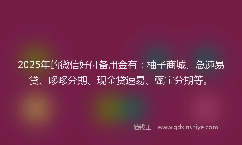 2025年的微信好付备用金有：柚子商城、急速易贷、哆哆分期、现金贷速易、甄宝分期等。