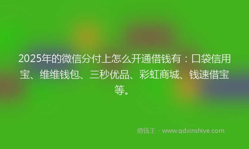 2025年的微信分付上怎么开通借钱有：口袋信用宝、维维钱包、三秒优品、彩虹商城、钱速借宝等。