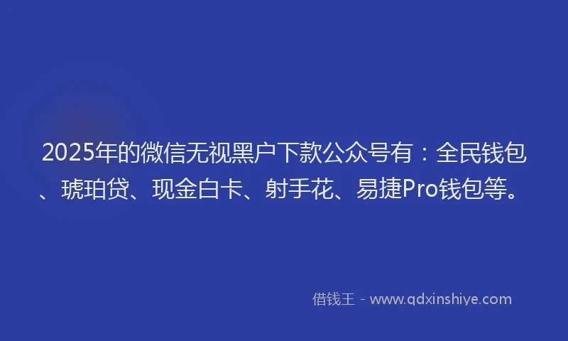 2025年的微信无视黑户下款公众号有：全民钱包、琥珀贷、现金白卡、射手花、易捷Pro钱包等。