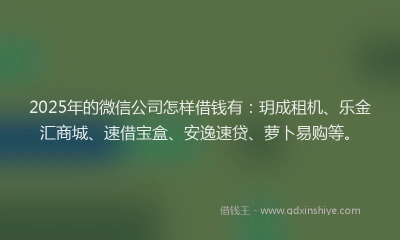 2025年的微信公司怎样借钱有：玥成租机、乐金汇商城、速借宝盒、安逸速贷、萝卜易购等。